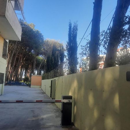 Pine Apartment 2 Plus 1 ゴーレム エクステリア 写真